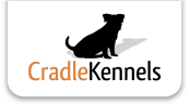 Cradle Kennels Jack Russells