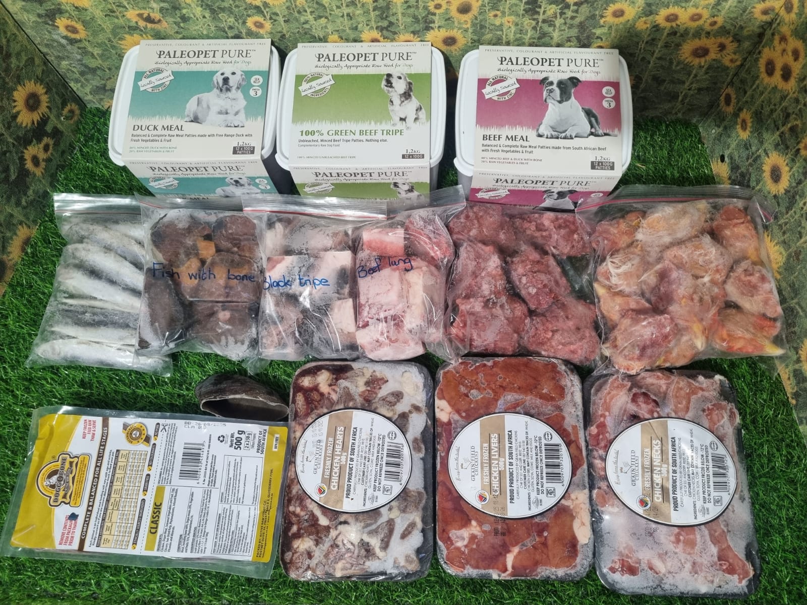 Read more about the article Puppy Diet